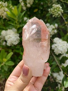 Mestre Lemuriano Rosa