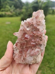 Drusa Rosa Mestres