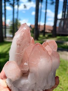Drusa Rosa Ísis