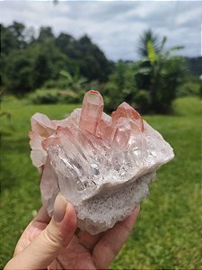 Drusa Rosa Lemuriana