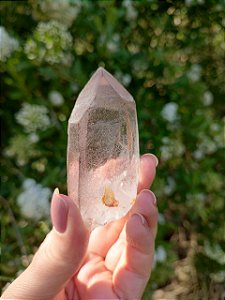 Quartzo Lemuriano Violeta