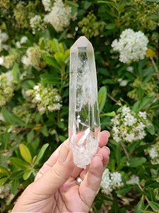 Cristal Mestre Lemuriano