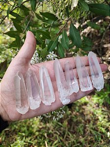 Lote 03 Cristal Mestre Lemuriano 7 Peças