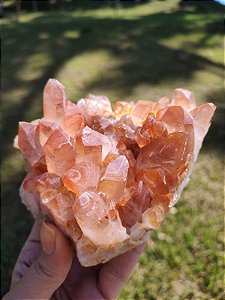 Drusa Tangerina