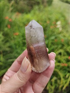 Mestre Fumê Star Seed