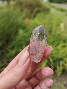 Mestre Fumê Star Seed