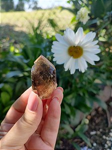 Casaco dos Sonhos - Dream Coat