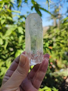 Mestre Semente Estelar