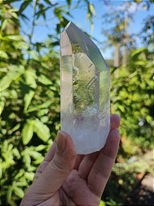 Mestre Semente Estelar