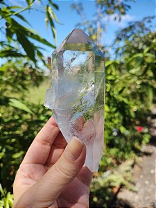 Mestre Semente Estelar e Ponte Perfeita para Dentro