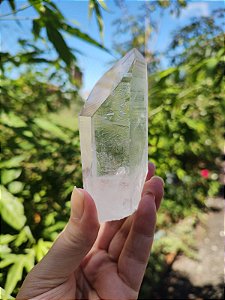 Mestre Semente Estelar