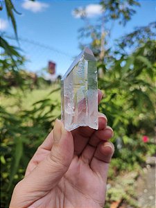 Mestre Semente Estelar