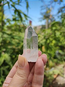 Mestre Semente Estelar Janela da Alma