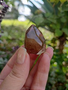 Casaco dos Sonhos - Dream Coat