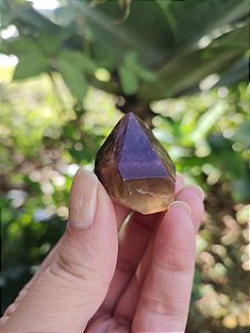 Casaco dos Sonhos - Dream Coat