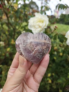 Coração Super Seven