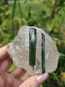 Turmalinas Verdes na matriz de Quartzo