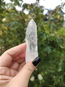 Mestre Laser Catedral