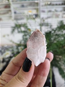 Formação Pink Mestre Canalizador