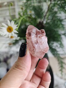 Formação Pink  Mestre Biterminado