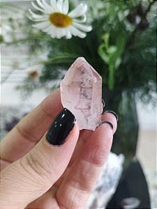 Formação Pink  Mestre Gerador