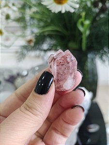 Formação Pink
