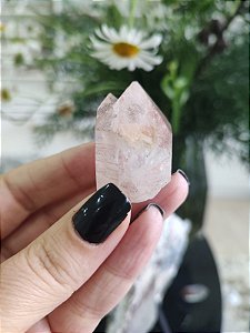 Formação Pink Mestre Gêmeo