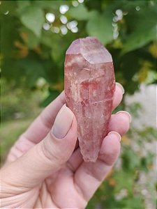 Ponta Pink Autocurado