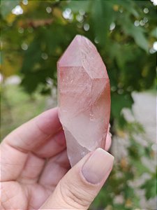 Ponta Pink com Marcações Lemurianas