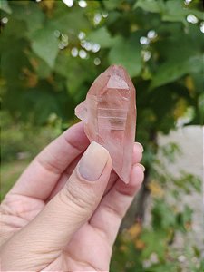 Ponta Pink com Marcações Lemurianas