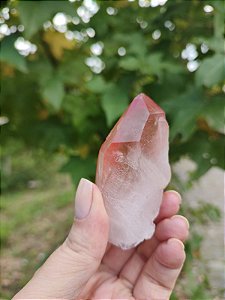 Ponta Pink com Marcações Lemurianas