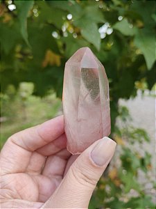 Ponta Pink Autocurado