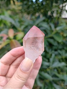 Ponta Pink com Marcações Ísis