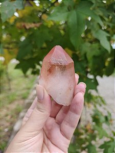 Ponta Pink com Marcações Lemurianas