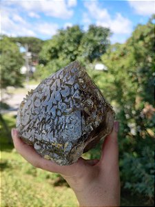 Mestre Elestial Biblioteca de Luz