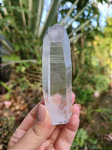 Mestre Lemuriano Phantom Negro