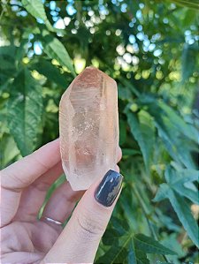 Lemuriano Rosa Ísis Elo do Tempo Passado