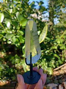 Mestre Lemuriano com base