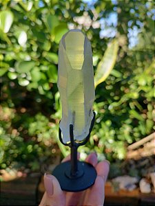 Mestre Lemuriano com base