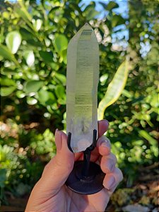 Mestre Lemuriano com base