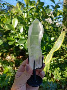 Mestre Lemuriano com base