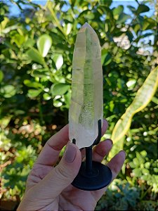 Mestre Lemuriano com base