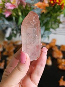 Mestre Lemuriano Rosa