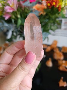 Mestre Lemuriano Rosa