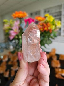 Mestre Lemuriano Rosa