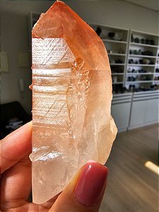 Ponta Pink Lumuriana Agregadora Elo do Tempo Passado