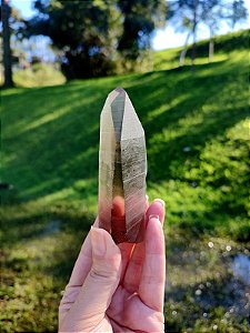 Mestre Lemuriano Fumê