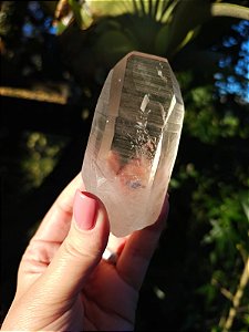 Ponta Fumê Lemuriano