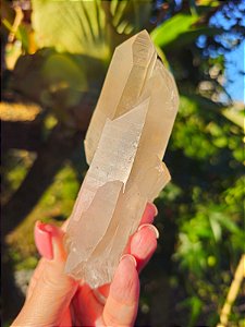 Ponta Fumê Lemuriano Autocurada