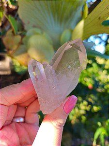 Ponta Fumê Lemuriano